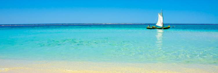 Zombitse National Park and Transfer to Toliara