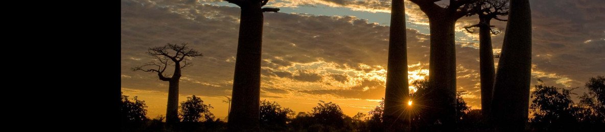 5-Day High-Range Baobabs - Tsingy of Bemaraha