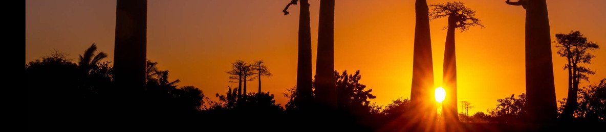 8-Day Unforgettable Madagascar Tour