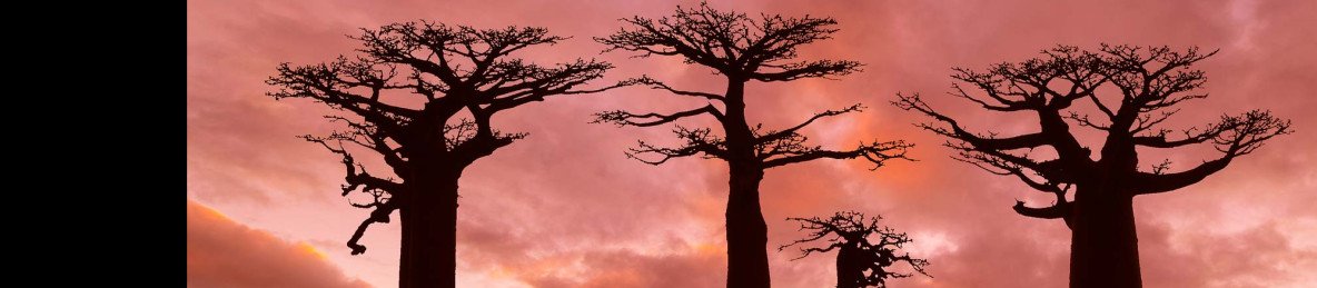 12-Day Madagascar off the Beaten Track