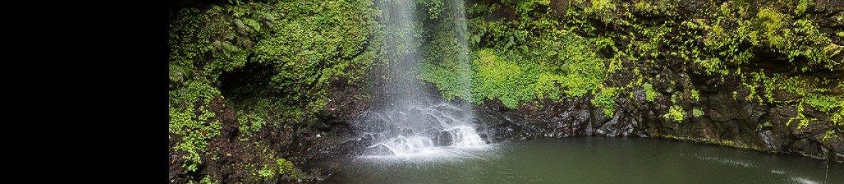 12-Day Madagascar Rainforests, Tsingy & Nosy Be Escape
