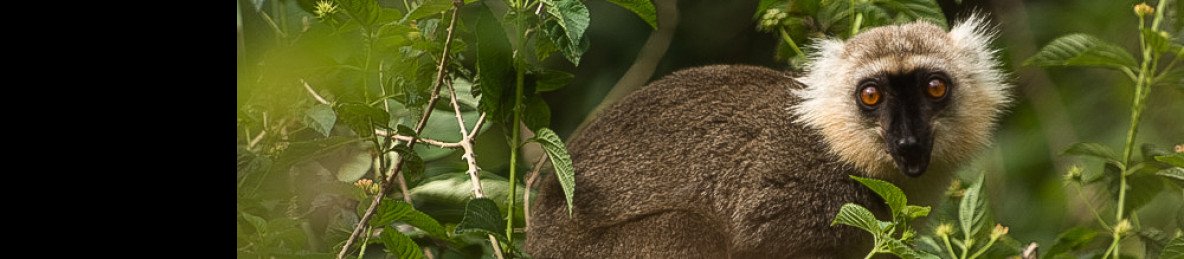 11-Day Madagascar Adventure Tour