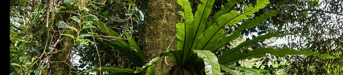 6-Day Baobab & Wildlife