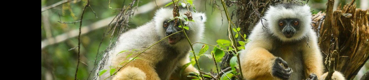 24-Day Grand Madagascar Discovery