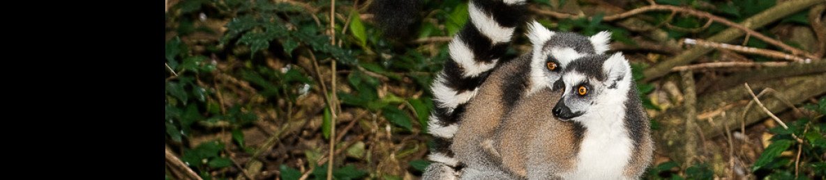 13-Day Immersive Journey in Madagascar's Highlands - Sea
