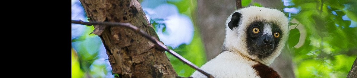 6-Day Madagascar Adventure & Beach Getaway
