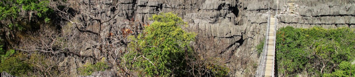 15-Day Madagascar Ultimate Nature & Wildlife Adventure