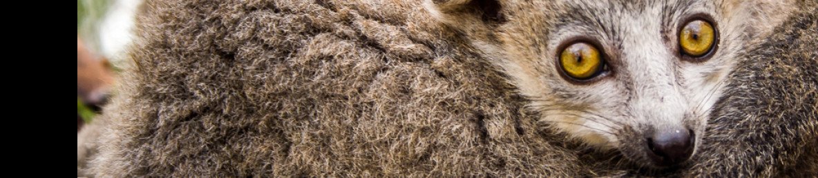 4-Day Wildlife Discovery Tour