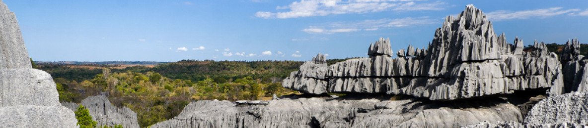 14-Day Discover the Unique in Madagascar