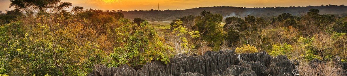 12-Day Classic Madagascar Tour