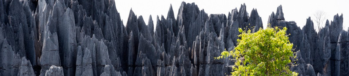 15-Day Masoala Peninsula & Tsingy Adventure Safari