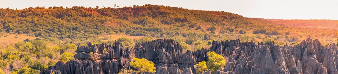 8-Day Limestone Forest & Baobabs Kingdom