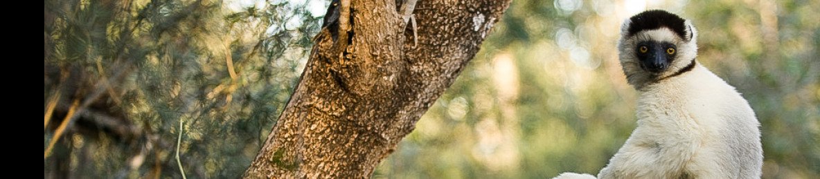 10-Day Belo Discovery, Western Wonders of Madagascar