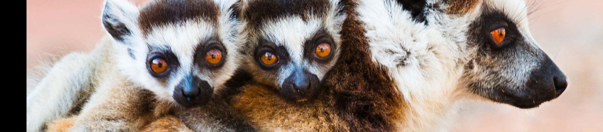 12-Day Explore the Island's Extraordinary National Park