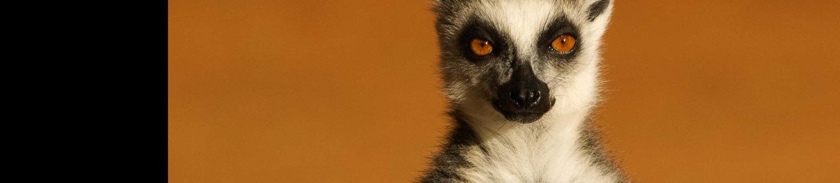 7-Day Madagascar Classic Tour