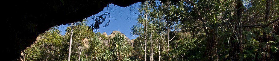 18-Day Baobab Avenue-Kirindy-Tsingy -Isalo-Ranomafana
