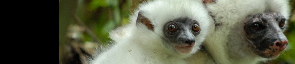 11-Day Madagascar Family Adventure Tour