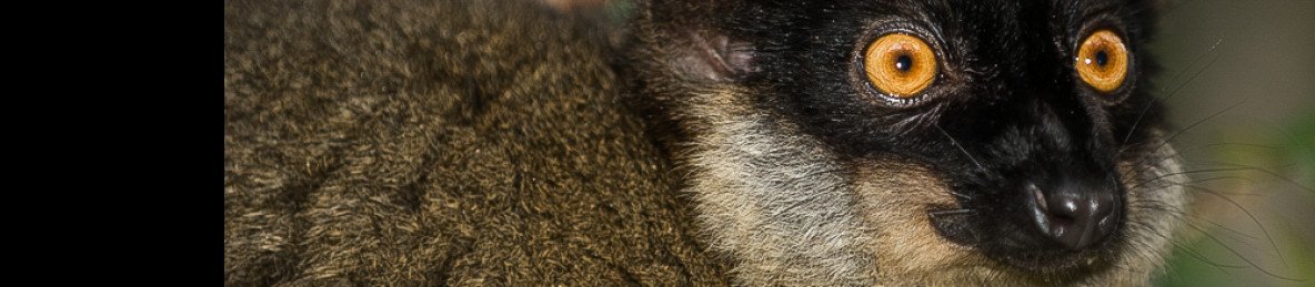 6-Day Luxury Tour in Madagascar