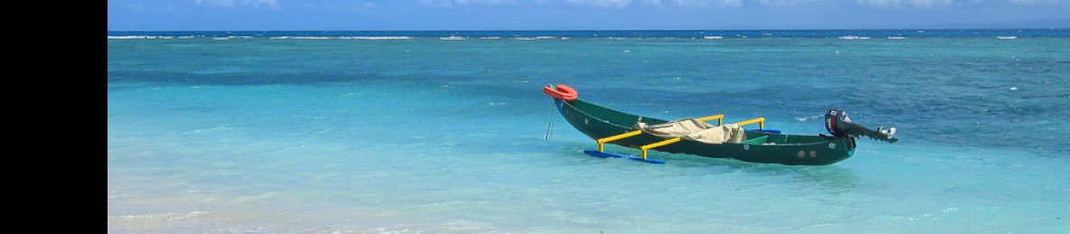 8-Day Aye Aye and Blue Lagoon