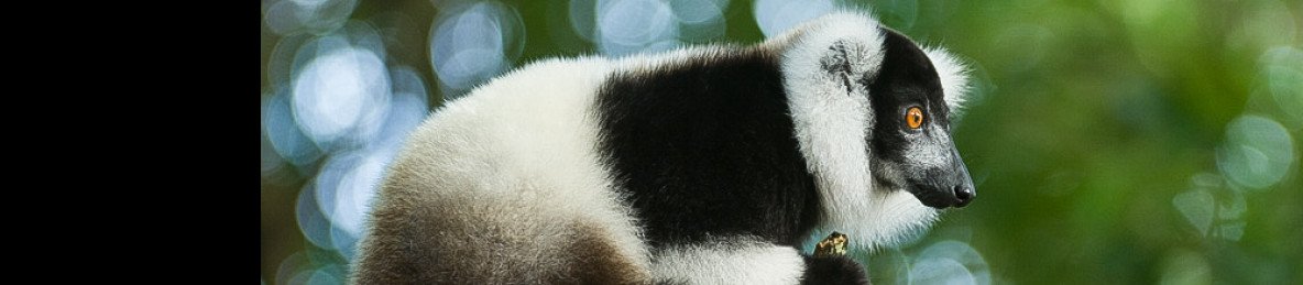 10-Day Madagascar Expedition Tour