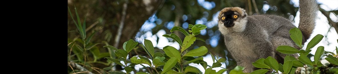 9-Day Lemur Trail Madagascar Adventure