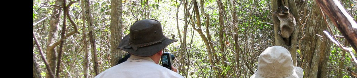 6-Day High-End Lemurs & Baobab Tour