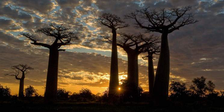 5-Day High-Range Baobabs - Tsingy of Bemaraha