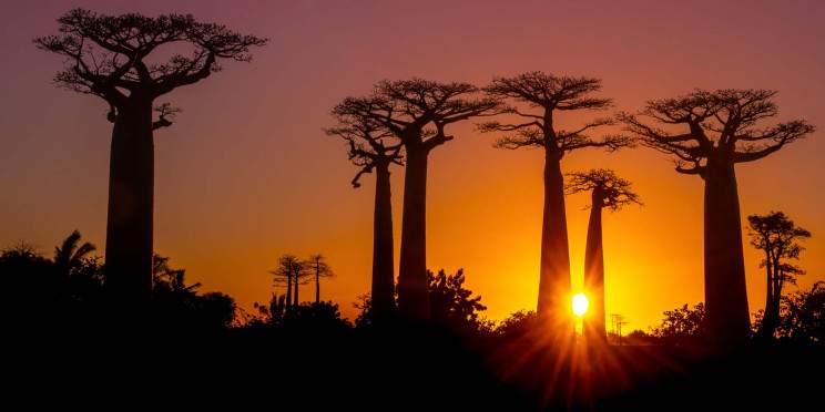 8-Day Unforgettable Madagascar Tour