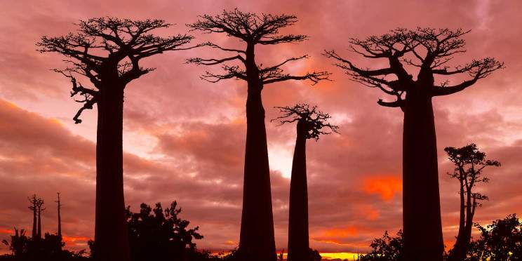 12-Day Madagascar off the Beaten Track