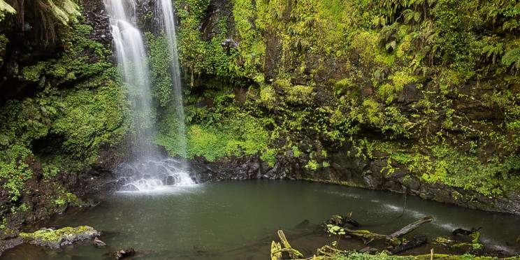 12-Day Madagascar Rainforests, Tsingy & Nosy Be Escape