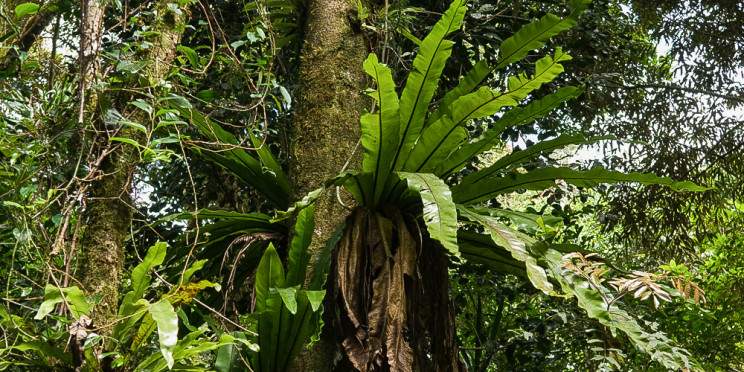 6-Day Baobab & Wildlife