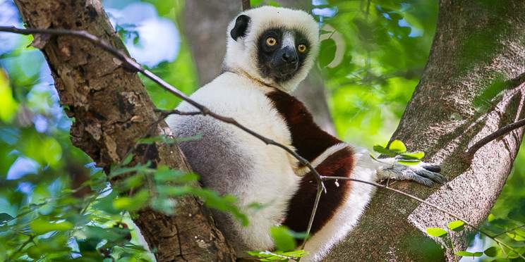 6-Day Madagascar Adventure & Beach Getaway