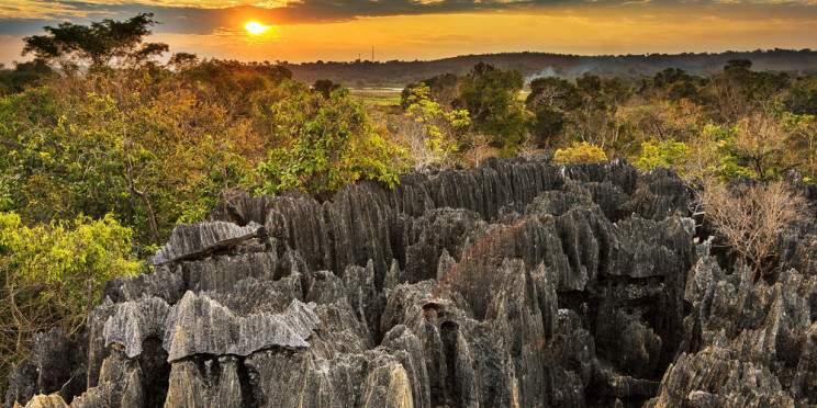 13-Day Tsingy De Bemaraha - Baobab Alley - Nosy Be