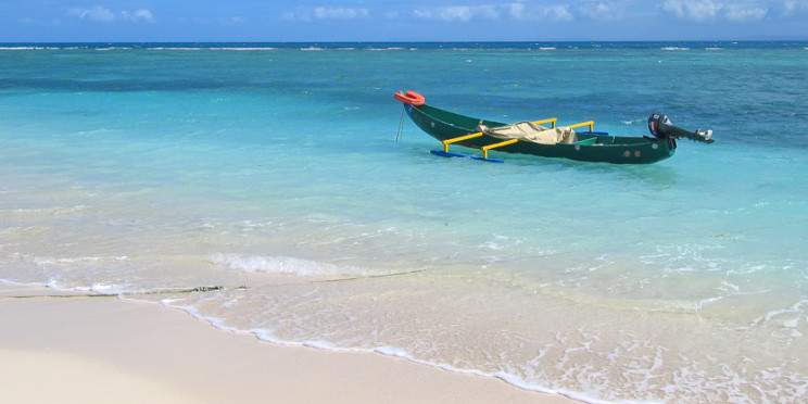 8-Day Aye Aye and Blue Lagoon