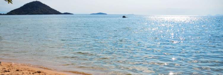 The Beach Experience