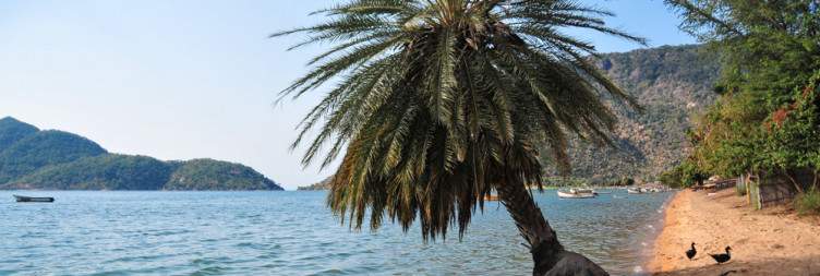 More of Lake Malawi