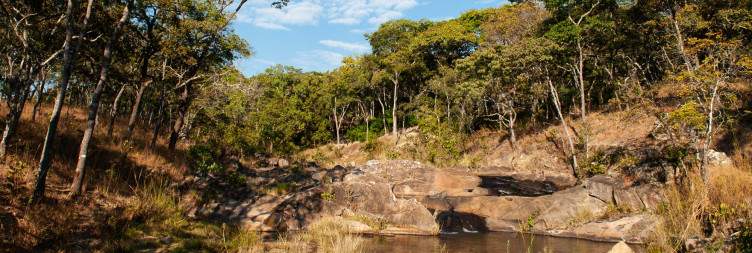 Hike to Water Fall and Local Cultural Exchange