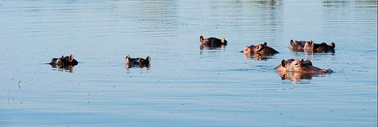 Liwonde National Park