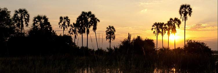 Safari and Cultural Visit