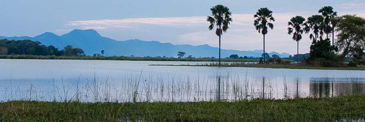 Walking Safari in Liwonde