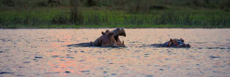 More of Liwonde National Park