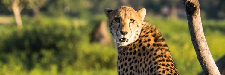 Exploring Liwonde National Park