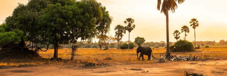 Liwonde National Park