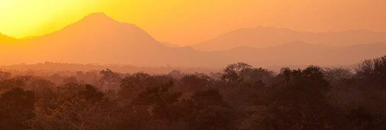 Early Game Drive in the Majete Wildlife Reserve