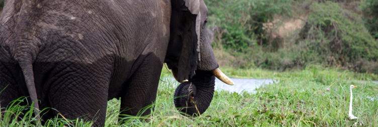 Majete Wildlife Reserve