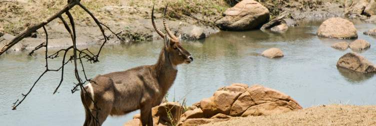 Majete Wildlife Reserve