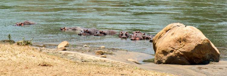 Majete Safari and Mkulumadzi Experience