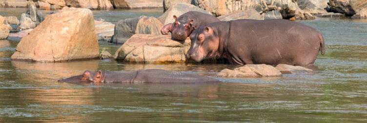 Cape Maclear to Majete Wildlife Reserve