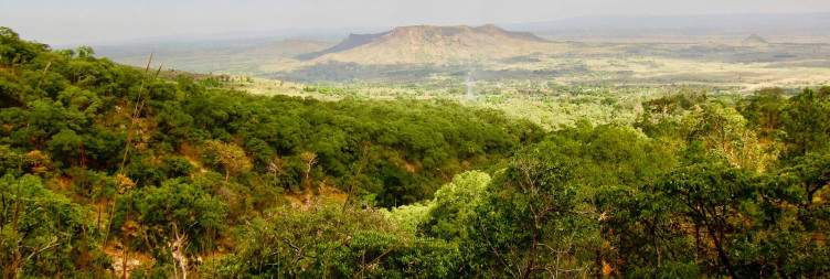 Mulanje Mountain Adventure