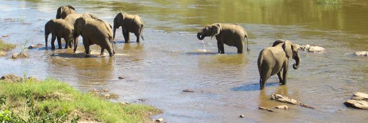 Nkhotakota Wildlife Reserve | Rafiki Safari Camp